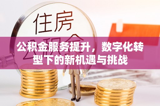 疏勒公积金服务提升，数字化转型下的新机遇与挑战