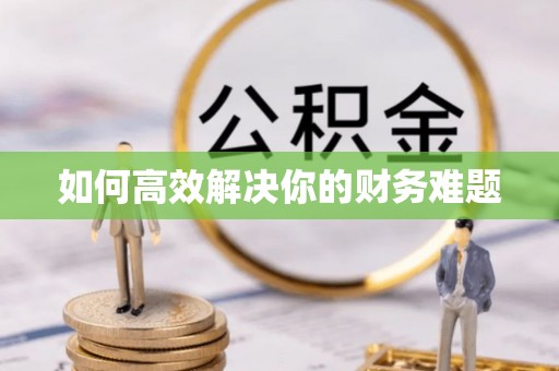 疏勒如何高效解决你的财务难题