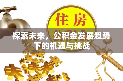 疏勒探索未来，公积金发展趋势下的机遇与挑战