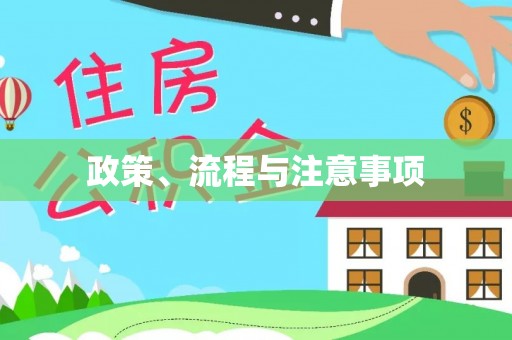 疏勒政策、流程与注意事项