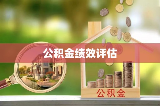 疏勒公积金绩效评估