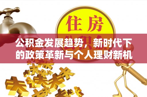 疏勒公积金发展趋势，新时代下的政策革新与个人理财新机遇