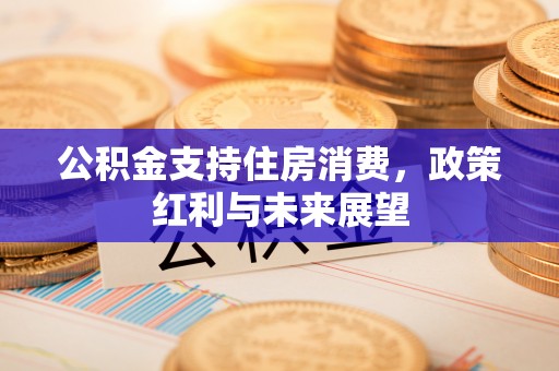 疏勒公积金支持住房消费，政策红利与未来展望