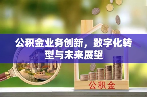 疏勒公积金业务创新，数字化转型与未来展望