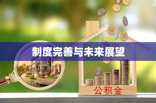 疏勒制度完善与未来展望