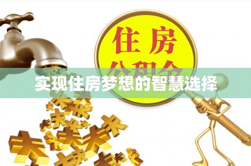 疏勒实现住房梦想的智慧选择
