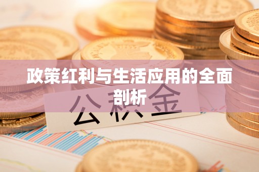 疏勒政策红利与生活应用的全面剖析