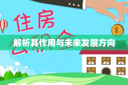 疏勒解析其作用与未来发展方向