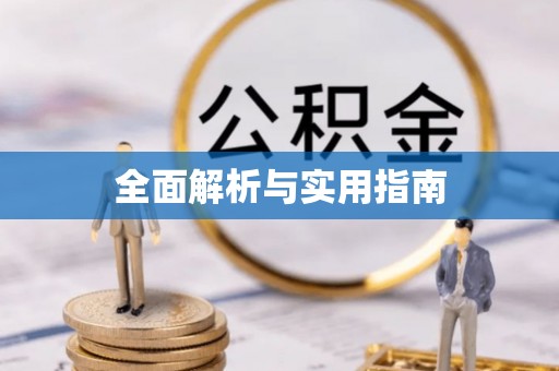 疏勒全面解析与实用指南